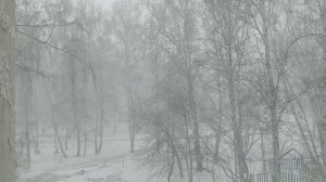 Снег не покидает нас, метет как Зимой