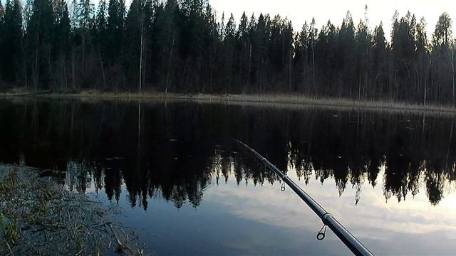 Снова речка рыба болеет.