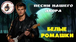 Владимир и Нейрончик Белые ромашки