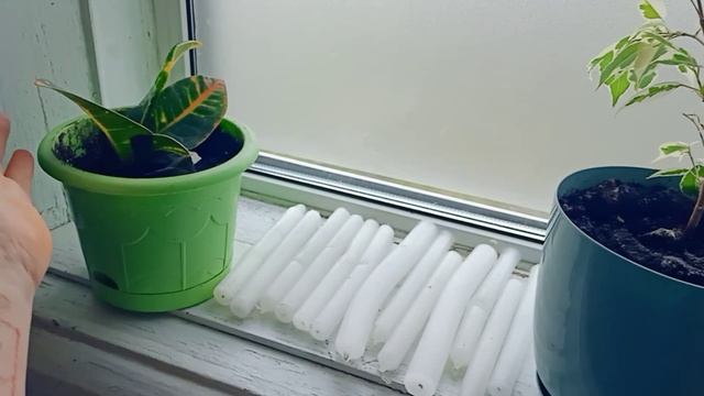 дневная активация.mp4