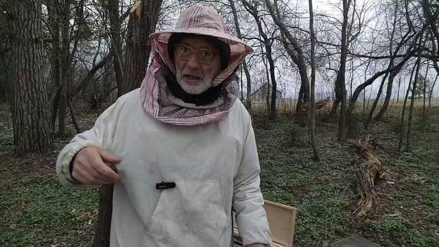 18 апреля  СУШЬ или ВОЩИНА пчёлам весной