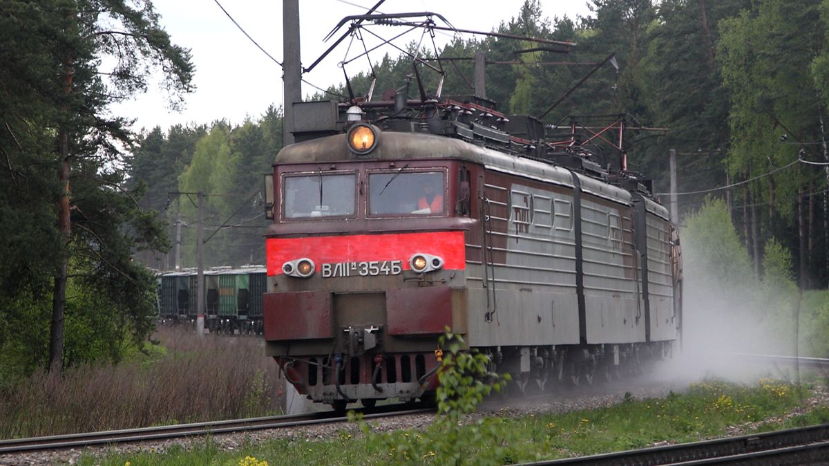 Редкие гости и обычные обитатели БМО. Поезда в Манихино и окрестностях