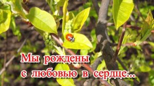 МЫ  РОЖДЕНЫ  С  ЛЮБОВЬЮ  В СЕРДЦЕ...
