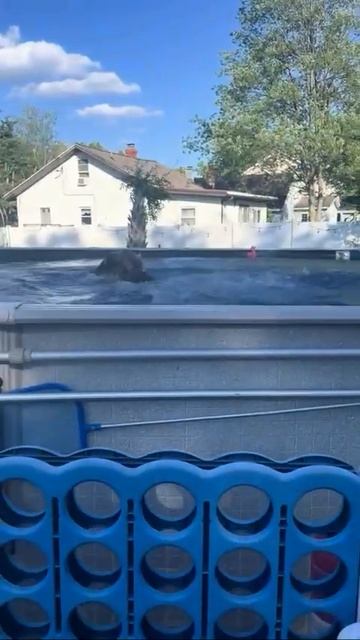 Вы так же рвётесь на тренировки?💪🤣💦