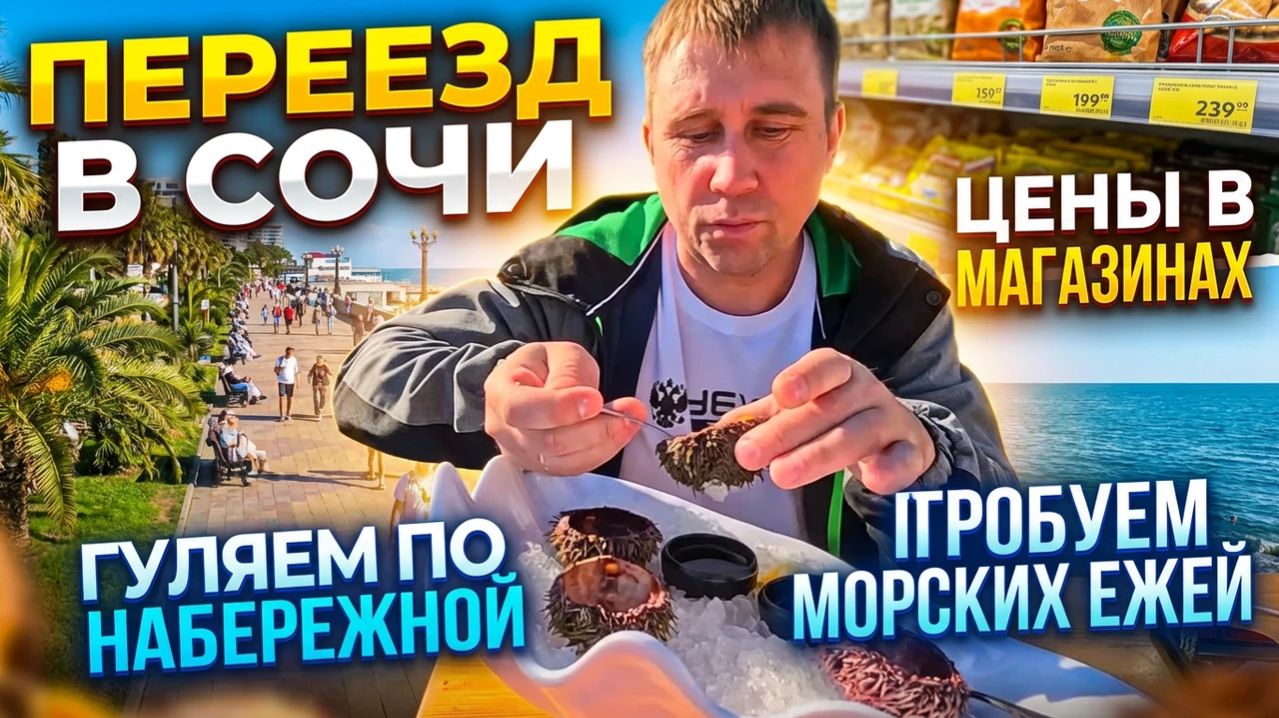 Переезд в Сочи!!! Наши будни!!! Продолжаем обустраиваться!!! Цены в магазине!!! #влог #сочи #цены