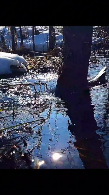 #relax #relaxing #relaxvideo #calm #calming #calmvideo #soothing #soothingvideo #stressrelief #relax