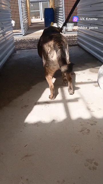 СОТВОРИТЕ ЧУДО ДЛЯ НЮСЕНЬКИ ПРИЮТИТЕ