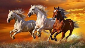 G-1073  Фристайл  (Старый клён)