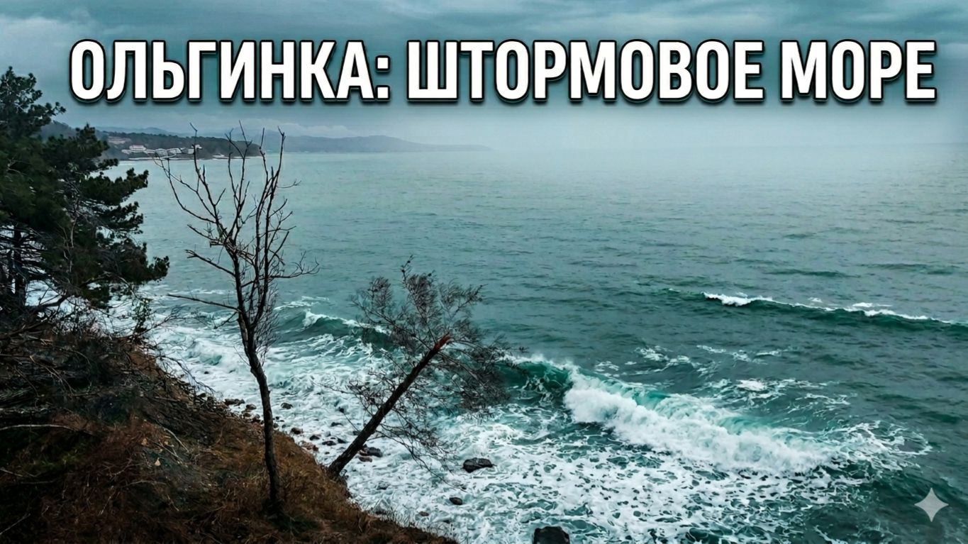Штормовое море в Ольгинке | Одинокое дерево на утесе 🌊