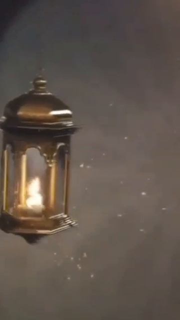 VID-20260301-WA0053.mp4