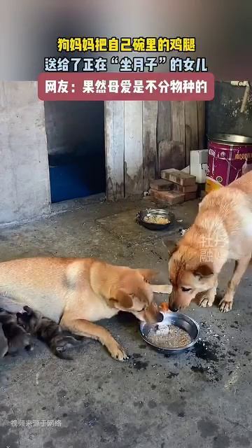 Ешь, тебе нужнее