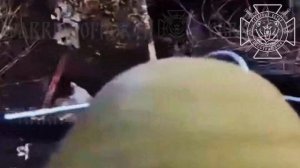 💥Наши пограничники заставили замолчать очередную американскую гаубцицу в Харьковской области