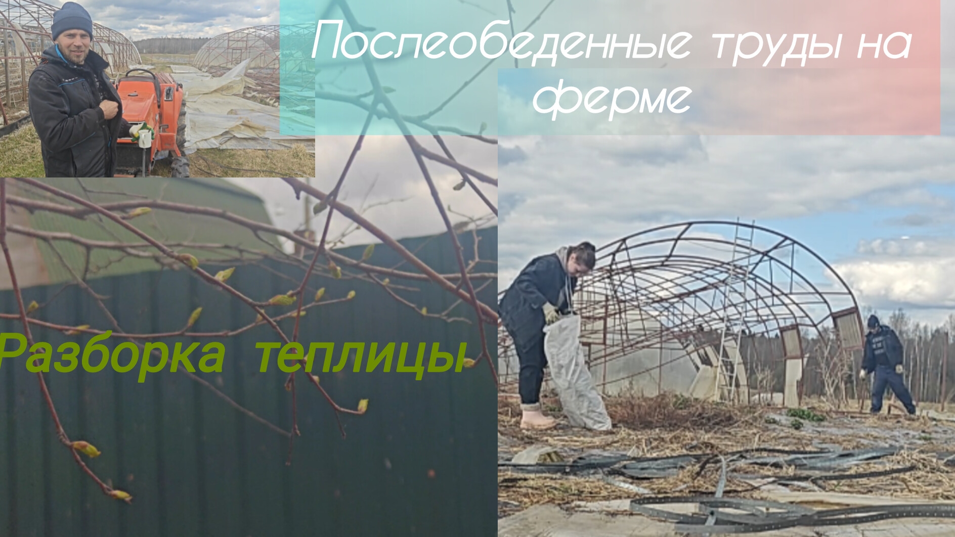 Постепенная подготовка фермы к переезду 🤗