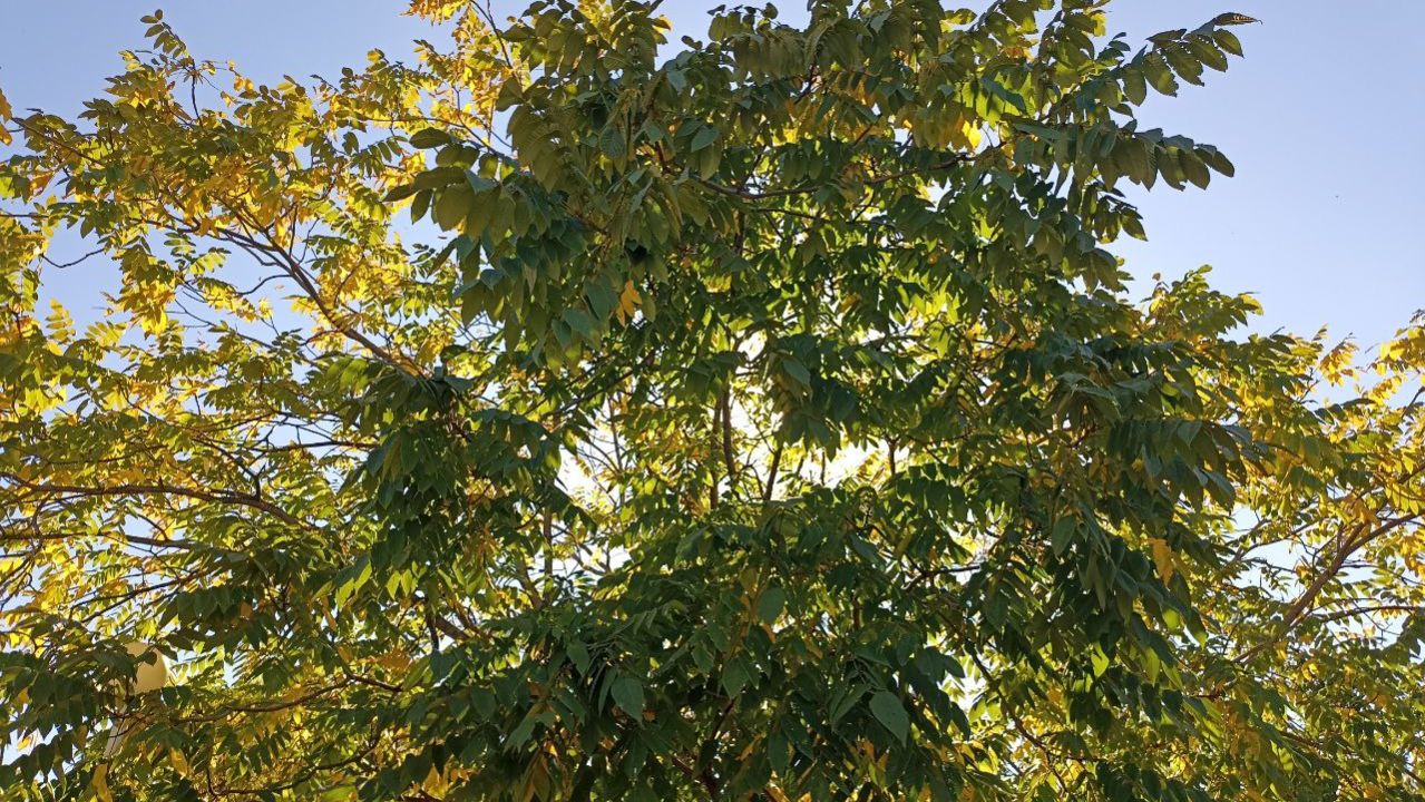 О ГЛАВНОМ ЧУВСТВЕ