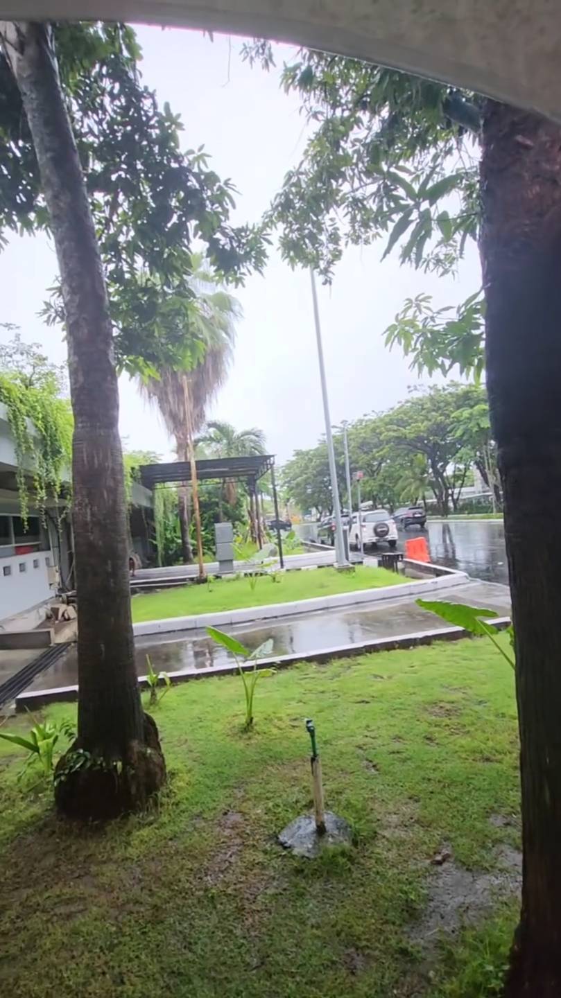 Бали — рай для нищих 💸🏝️ | Дошик, мопед и иллюзия роскоши 🛵😎