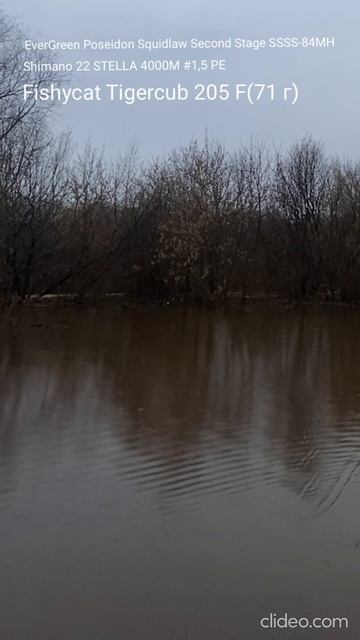 Спиннинг EverGreen Poseidon Squidlaw Second Stage SSSS-84MH The Magnumjerk 84