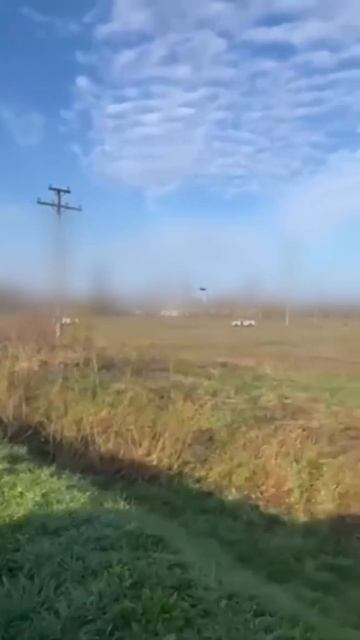 🛩️Любопытный способ отвлечения МОГ ВСУ дроном-обманкой…🤔