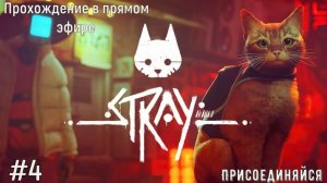 Stray#4 | Продолжаем прохождение, дорога на "АУТСАЙД"! Спасаем Дока