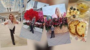 "Парковка мечты" или кошмар пешехода. Москва, это город сюрприз 🎁 Творожный десерт за 5 минут.