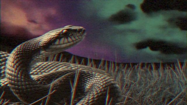 Serpent Psychedelia ⧸ Psychedelic Rock Music