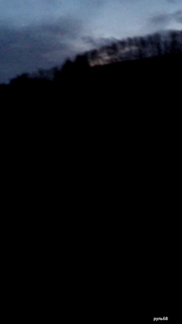 Вальдшнеп так бывает