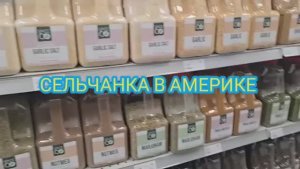 ШОПИНГ В АМЕРИКЕ МАГАЗИН КОСТКО ЗАЕХАЛА  К СЕСТРЕ В ГОСТИ