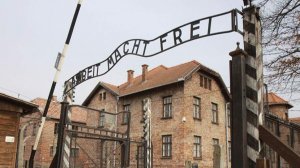 В ФРГ задержали гражданина Польши по подозрению в установке копии ворот Освенцима