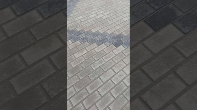 иду в поликлинику #1