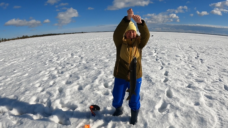 отличная рыбалка по последнему льду