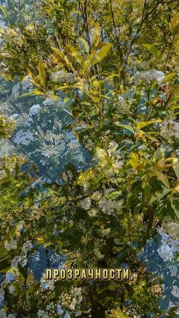 Чем старше становишься....mp4