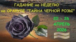 ВОДОЛЕЙ: ГАДАНИЕ на НЕДЕЛЮ с 20 по 26 АПРЕЛЯ 2026 года на Оракуле "ТАЙНА ЧЕРНОЙ РОЗЫ"!!!