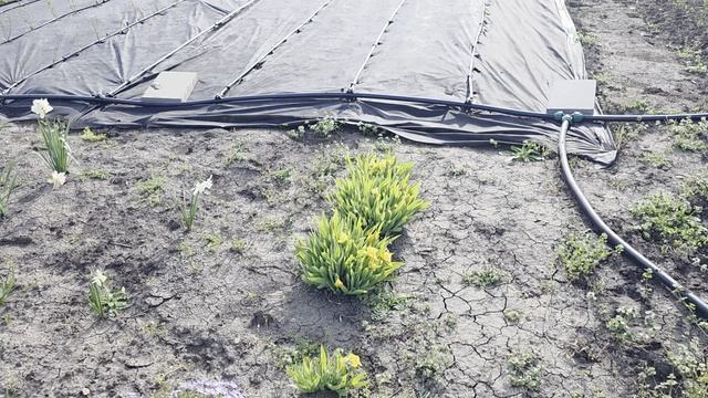 Поставили опоры для малышей