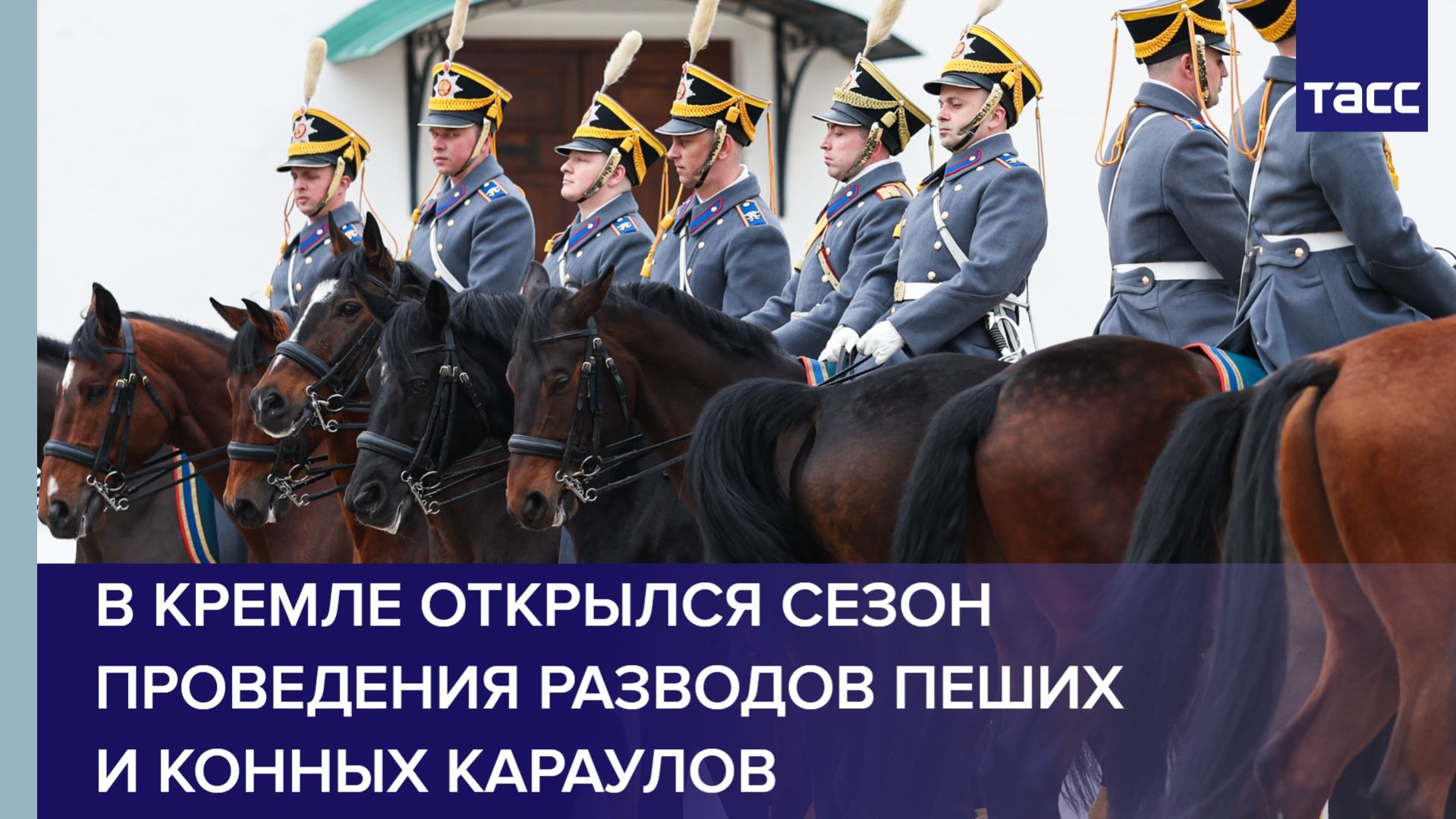 В Кремле открылся сезон проведения разводов пеших и конных караулов