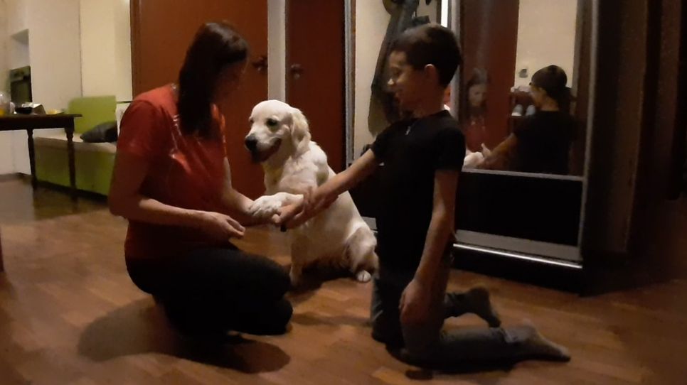 Вовчик и Нортон 👦❤️🐕 (AI-Remix)