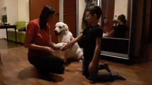 Вовчик и Нортон 👦❤️🐕 (AI-Remix)