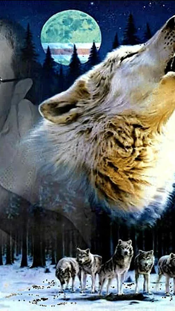 ОДИНОКИЙ ВОЛК