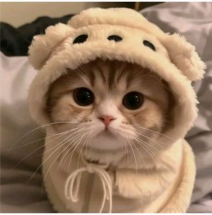 "ВСТАЛА" ВЛОГ МОЕГО УТРА//Chaos & Coffee