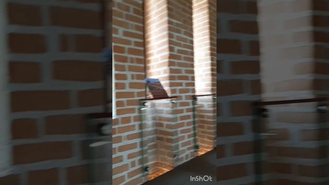 Путешествия и отдых.Смоленщина.Серия5.