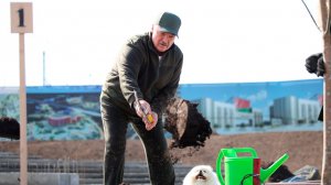 Лукашенко с сыном на субботнике! // Национальный исторический музей. Апрель, 2026