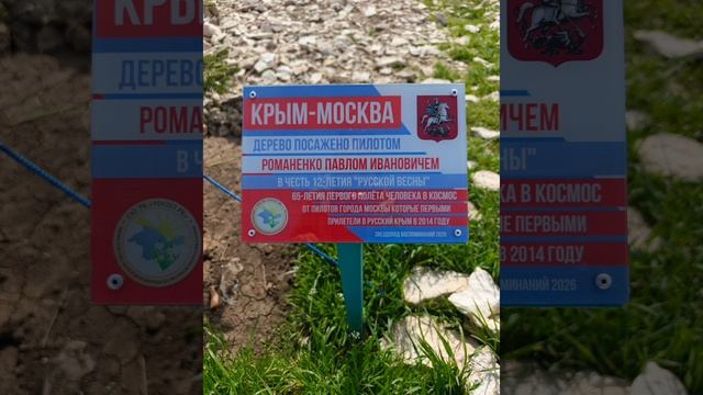 Звездопад 🌠 воспоминаний. Крым. 18.04.2026