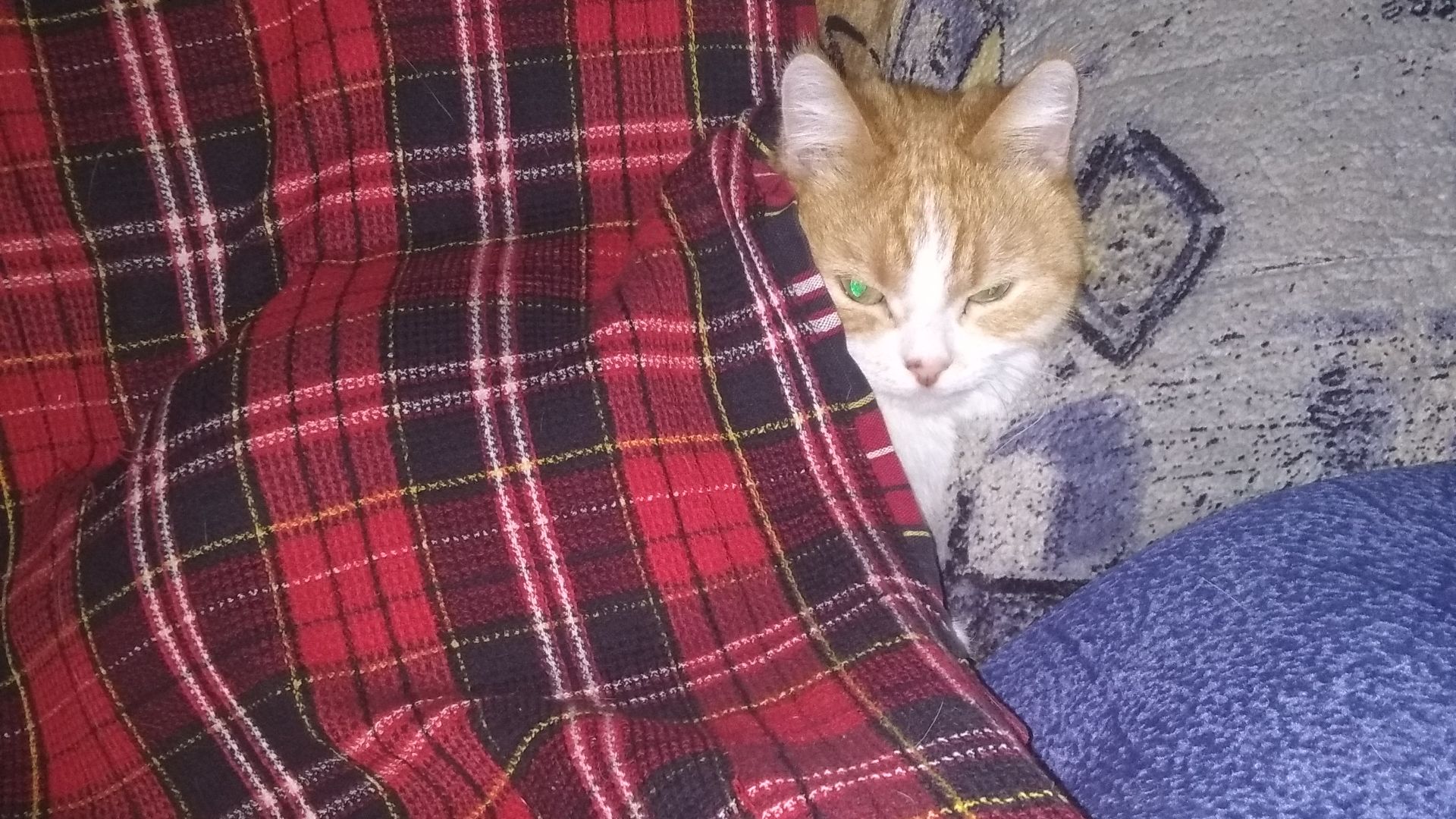 пагодь еще чуток ..!!