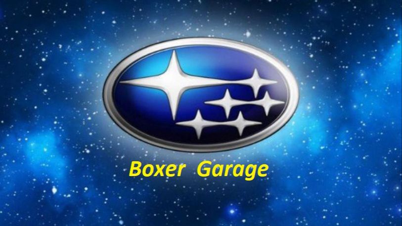 Курьёзы в нашей професии))