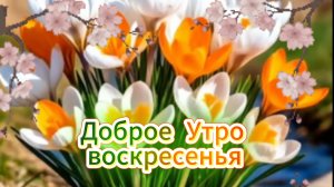 С добрым утром, воскресенье! Музыкальная открытка и пожелания выходного дня | Домохозяйка
