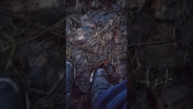 снюсоед три:разговоры с снюсоедом