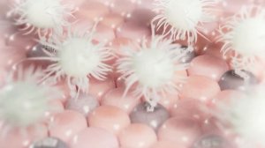 РАК, о чем НИКТО НЕ ГОВОРИТ? — ТОПЛЕС