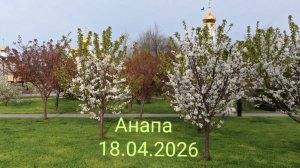 Анапа 18.04.2026