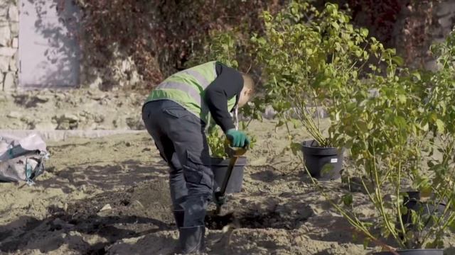 Благоустройство Самары. Вертолетка высадка растений