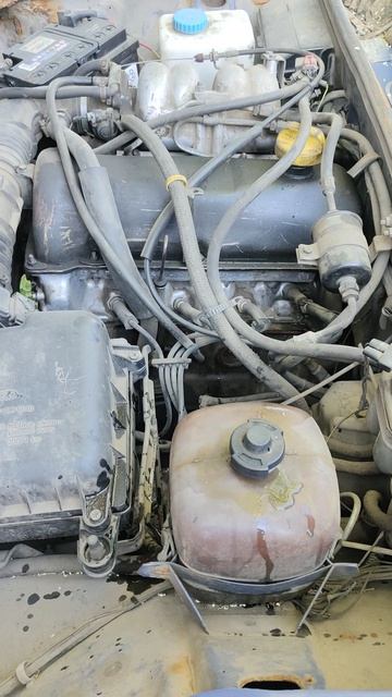 Без Добромобиля я не смогу лечиться, выживать и помогать животным.