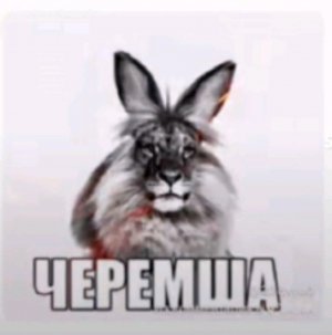 черемшо