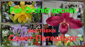 Выставка продажа орхидей Fan Orchid 18-19апреля!г.Санкт-Петербург.